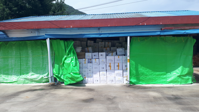 ▲ 종이박스와 플라스틱 용기에 담긴 의료폐기물 200여t이 불법 보관된 대구 달성군 논공읍 한 창고 모습.