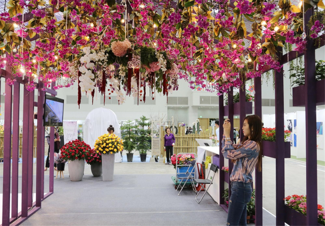 ▲ 제10회 대구꽃박람회가 30일 엑스코에서 개막한다. 사진은 지난해 열린 대구꽃박람회장에 마련된 꽃 터널 모습.