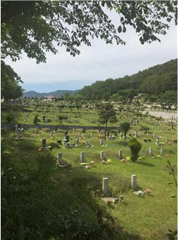 ▲ 칠곡군청이 최근 불법으로 공원묘지를 조성해 분양한 업체를 적발했다. 사진은 묘지를 불법 분양한 C공원 전경.
