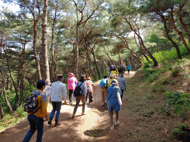 ▲ 삼국유사 기행단 40여명이 22일 진덕여왕릉으로 진입하는 등산길을 오르고 있다.
