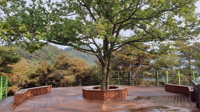 ▲ 삼필산 송봉전망대 중심에는 세 그루의 나무가 등산객들의 그늘이 되어주고 있다.
