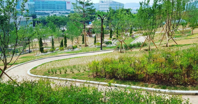 ▲ 대구 서구 이현공원이 4년여에 걸친 재정비 사업을 통해 1만9천437㎡ 규모의 공원으로 재탄생했다. 사진은 이현공원 전경.