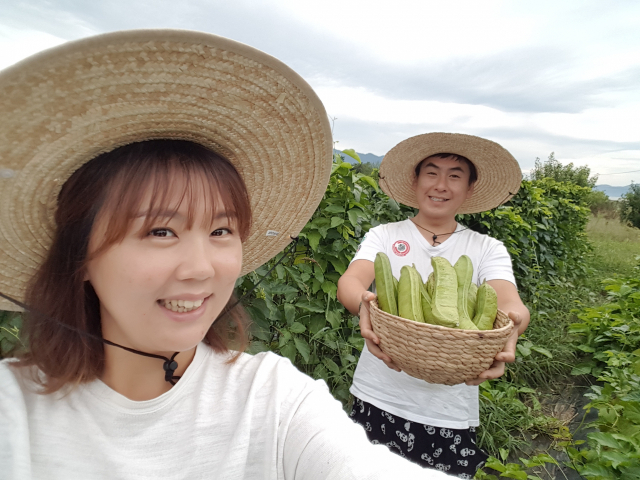 ▲ 청도군 이서면에서 작두콩을 재배하는 산나래 농장 김태현(40)·김혜미(38) 부부는 농업이 새로운 블루오션임을 확신한다.