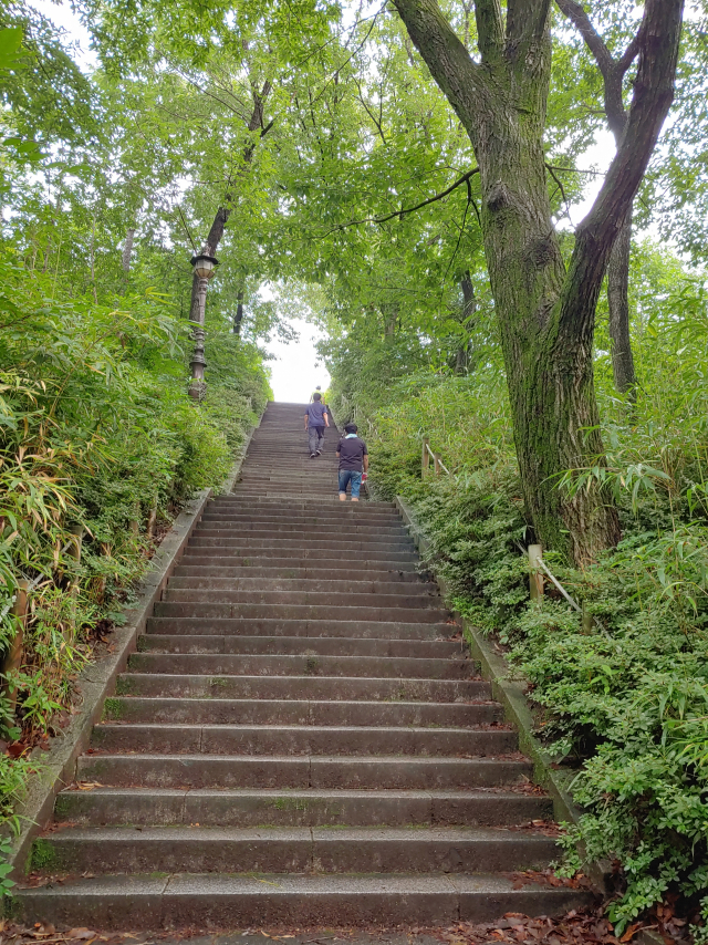 ▲ 황성공원 김유신 장군 동상으로 오르는 계단이 가파르게 길게 조성되어 있어 운동선수들의 훈련장소로도 활용된다.