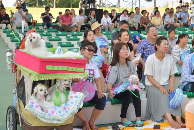 ▲ 청도군이 오는 8월3일 청도야외공연장 일원에서 ‘반려동물을 위한 콘서트’를 연다. 사진은 지난해 공연 모습.