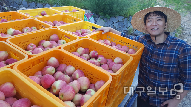 ▲ 과일판다 박덕수 대표가 온라인 쇼핑몰에서 주문 받은 사과를 준비하는 모습..