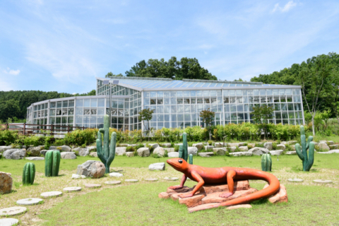 ▲ 김천시가 조성한 친환경생태공원