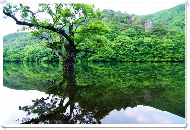 ▲ 청송 주산지는 주왕산국립공원 남서쪽 끝자락에 자리한 인공 연못이다.