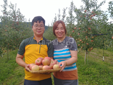 ▲ 청송사과은자농원의 박찬목·김경희 공동대표가 수확한 사과 바구니를 들고 있는 모습.