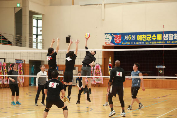 ▲ 예천군 문화체육센터에서 열린 제6회 예천군수배 생활체육 배구대회에서 동호인들이 경기를 펼치고 있다.