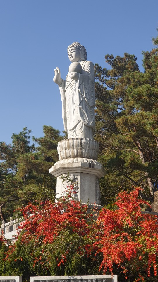▲ 1992년 천룡사 신도들의 도움으로 세운 천생미륵대불. 높이가 자그마치 15m이다.