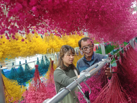 ▲ 박지훈 대표와 아내 신동숙씨가 안개꽃으로 만든 프리저브드의 상태를 점검하고 있다.
