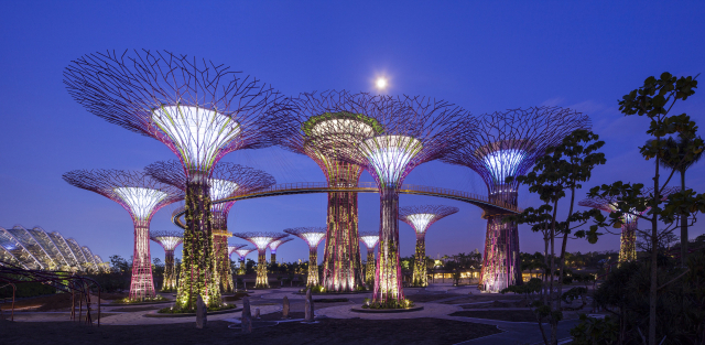 ▲ 싱가포르의 남쪽 끝 마리나 베이 지역에 위치한 가든스 바이 더 베이는 2012년 6월 문을 연 싱가포르의 새로운 식물원이다. 약 100만㎡ 규모의 초대형 정원으로 가든스 바이 더 베이의 상징인 ‘슈퍼트리(Supertree)’는 16층 건물 높이의 거대한 수직정원으로 인기 명소다.