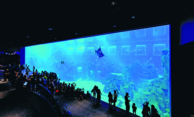 ▲ 리조트 월드 센토사의 핵심 명소 중 하나인 ‘마린 라이프 파크’는 세계 최대의 아쿠아리움이다. 10만 마리 이상의 해양 생물이 살고 있는 시 아쿠아리움(S.E.A. Aquarium)은 아이들에게 특별한 경험을 제공한다.