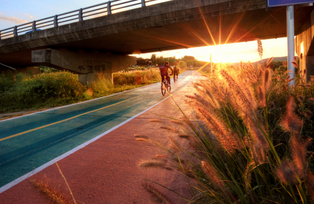 ▲ 대구 북구 금호강변 자전거도로에서 시민들이 자전거 트래킹이 즐기는 모습.