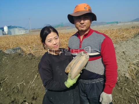 ▲ 김미애·박정호 공동대표가 연근 밭에서 방금 수확한 연근을 들고 있는 모습.