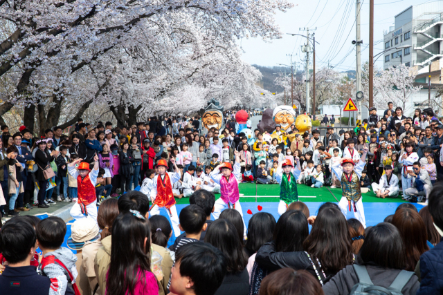 ▲ 안동시가 12일 코로나19 확산을 막기 위해 2020 벚꽃축제를 취소한다고 밝혔다. 사진은 지난해 축제 모습.