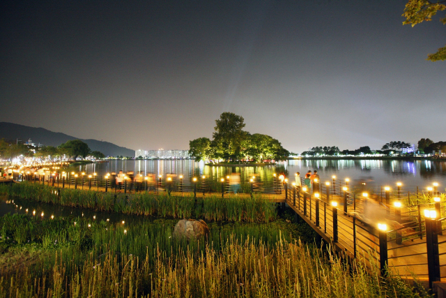 ▲ 한국관광공사의 야간관광 100선에 선정된 수성못의 아경.