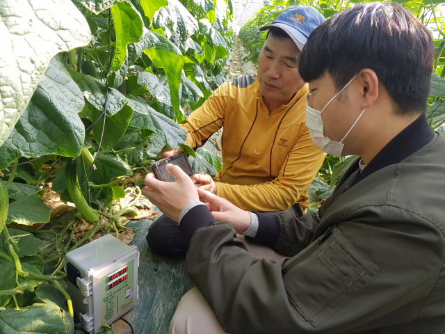 ▲ 대구 달성군은 한 단계 높은 스마트농업 실현을 위해 이달부터 사물인터넷 장치(IoT 백엽상)를 7농가에 배부한다.