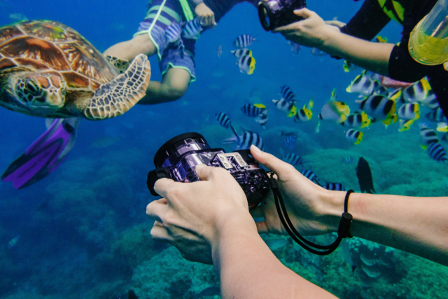 ▲ 아이를 동반한 가족여행자들은 괌의 푸른 바다를 향해 스노클링을 즐겨볼 것을 추천한다.
