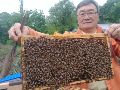 ▲ 박용민 대표가 꿀벌이 가득 붙은 소비(집)를 들어 보이고 있다.