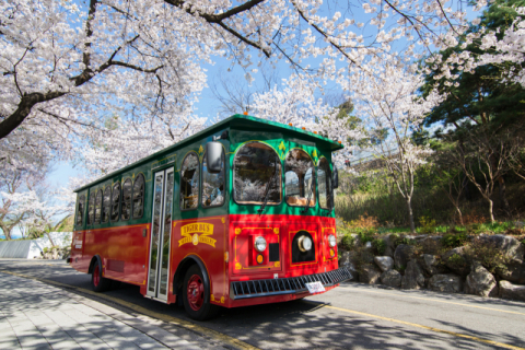 ▲ 안동시가 경북 최초 추억의 트롤리버스 2대를 도입해 시민들과 관광객의 이동편의와 추억의 볼거리를 제공한다.