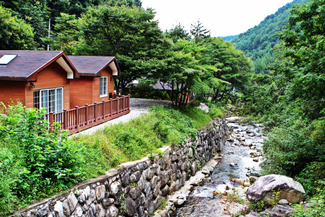 ▲ 수도산 자연휴양림은 상쾌한 산림욕을 즐길수 있어 가족여행지로 각광받고 있다.