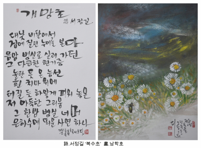 ▲ 달성문화재단이 시화전 ‘시(詩)와 그림이 있는 풍경’을 개최한다. 서정길의 '개망초'