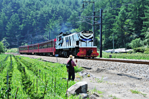 ▲ 한국철도 경북본부 여행센터가 코로나19로 인해 그동안 운행 중지했던 경북테마열차를 8월1일부터 재운행한다.