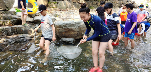 ▲ 경주지역 학생들이 여름방학을 맞아 다양한 체험학습으로 즐거운 시간을 보내고 있다. 옥산초등학교 학생들이 자옥천에서 물고기 잡기 체험을 하고 있다.