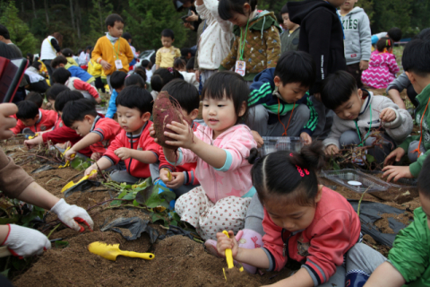 ▲ 김천시가 오는 10월 ‘제11회 농촌체험 페스티벌’을 취소했다. 사진은 지난해 열린 페스티벌에 참가한 어린이들이 고구마 수확 체험을 하는 모습.