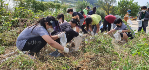 ▲ 성주군 월항초등학교 지방분교 전교생이 참여해 땅콩을 수확하고 있다.