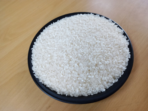 ▲ 방금 도정한 쌀.
