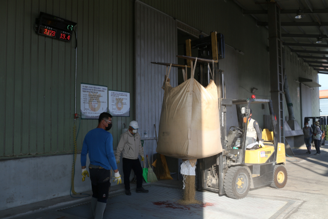 ▲ 청도군이 2020년산 공공비축미곡 산물벼에 대한 정부매입을 진행한다. 사진은 지난 12일 서청도농협RPC에서 산물벼를 매입하는 현장 모습.