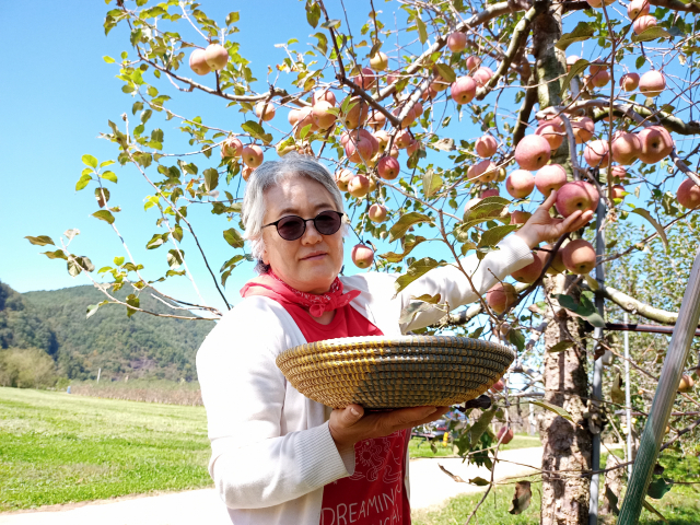 ▲ 와이와이골드팜 김성 대표가 잘 익은 사과를 들고 흐뭇한 표정을 짓고 있다.