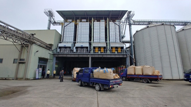 ▲ 김천시는 지난 22일부터 건양 미곡조합처리장에서 2020년산 공공비축 산물벼를 매입하고 있다.