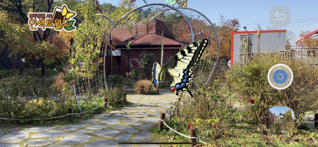 ▲ 대구 동구청이 개발한 ‘봉무인섹트월드’ 앱 속에서 나비가 증강현실(AR)로 구현되고 있는 모습.