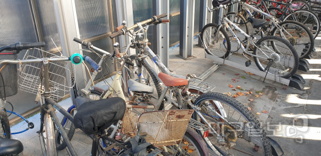 ▲ 10일 대구 동대구복합환승센터 자전거 주차장에 녹슨 자전거들이 버려져 있다. 주차장 내부는 먼지가 쌓인 자전거들과 쓰레기들이 가득했다.