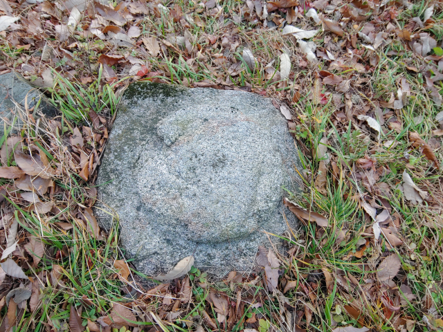 ▲ 무장사와 미타전의 기초석으로 보이는 돌이 곳곳에서 관찰되고 있다.