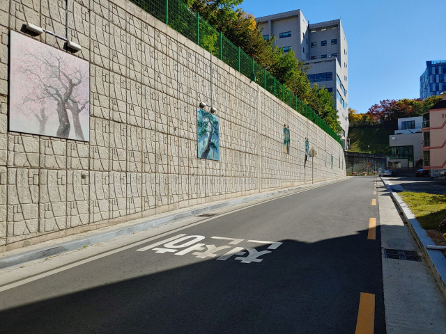 ▲ 대구 수성대학교 서편 도로건설 완료 후 모습.