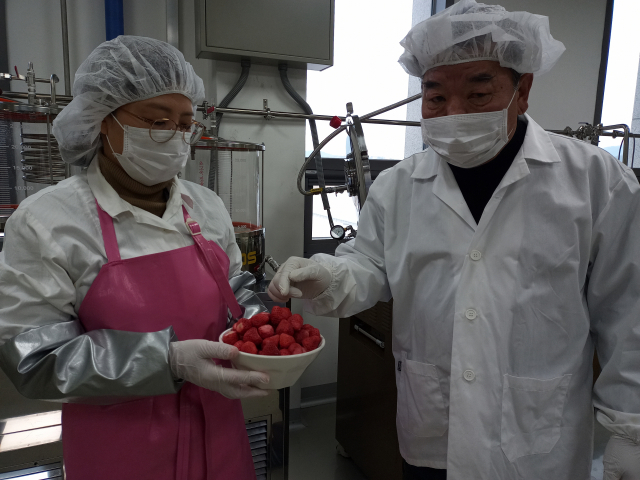 ▲ 손제순 조합장이 가공작업에 참여한 조합원과 함께 동결건조한 딸기칩의 건조 상태에 대한 의견을 나누고 있다.