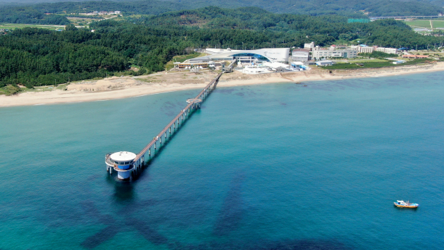 ▲ 국립해양과학관에 있는 국내 최장 거리(393m)의 해상 스카이워크의 모습.