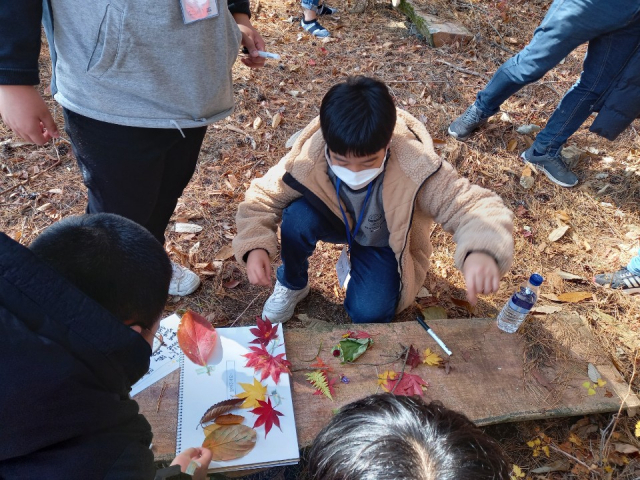 ▲ 대구시교육청의 ‘숲으로 행복소풍!’에 참여한 학생이 ‘오감?나눠봄!’ 숲놀이 프로그램을 체험하고 있다.
