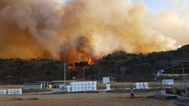 ▲ 21일 오후 5시께 예천군 감천면 증거리의 한 야산에 화재가 발생한 모습.