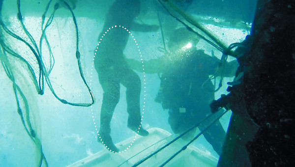 ▲ 해경 구조대가 경주 앞바다에서 전복된 어선 안에 생존해 있던 선원 1명(점선 표시)을 극적으로 구조하고 있다.