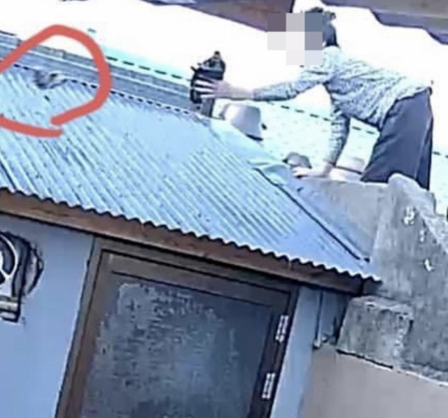 ▲ 80대 할머니가 이웃집 지붕에 훼손된 고양이 사체를 던지는 모습이 CCTV에 찍혀 있다.