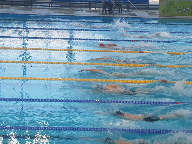 ▲ 제11회 김천전국수영대회 자유형 200m에서 대구 수영팀을 포함한 전국 실업팀 선수들이 경쟁하고 있는 모습.