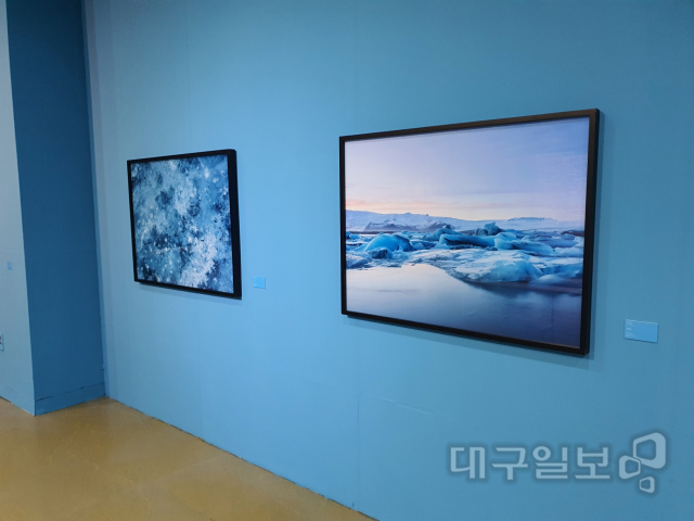 ▲ 블루룸전이 열리는 대구예술발전소 제2전시실의 모습.