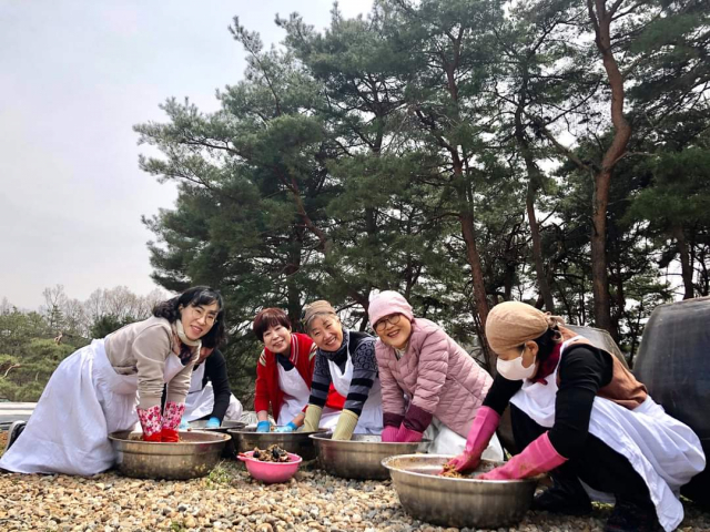 ▲ 김갑남 대표가 교육생들과 함께 푸른 솔밭을 배경으로 전통 장담그기 체험을 하고 있다.