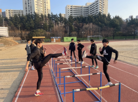 빛나라! 우리학교 운동부…대구 월배중 육상부 - 대구일보